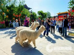 <strong>还有NPC趣味巡逛</strong>